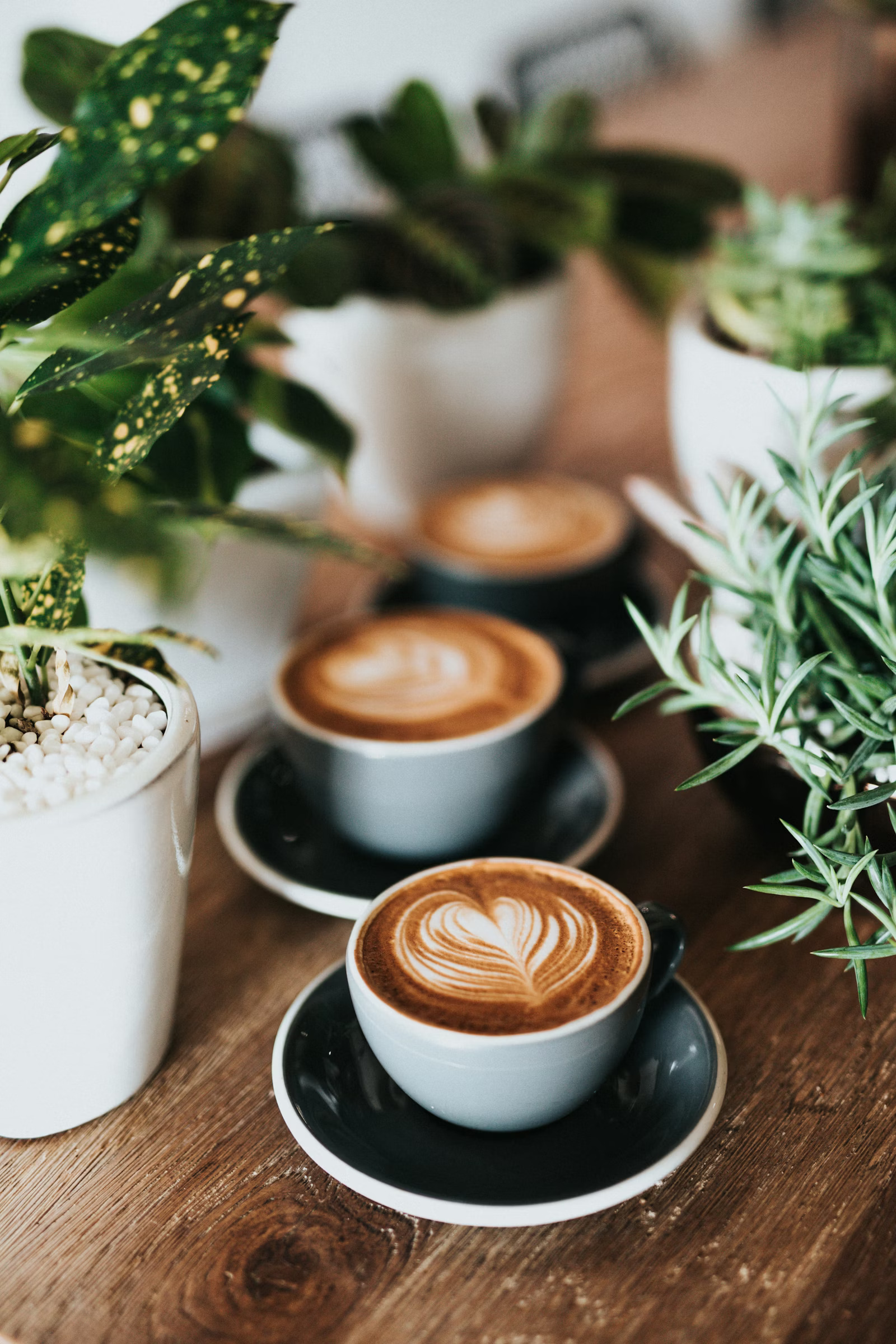 Cozy coffeehouse interior at Hyperion Coffeehouse